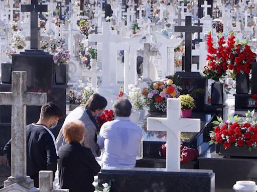 El cementerio de Sevilla estrena horno crematorio