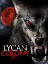 Lycan Colony