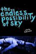 The Endless Possibility of Sky