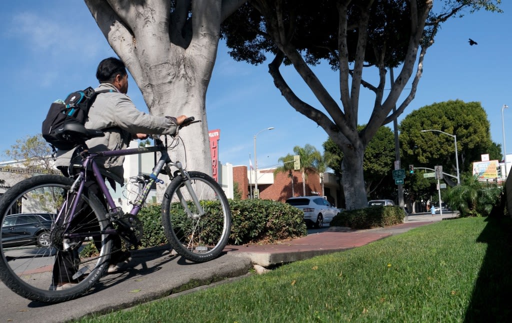 Whittier to once again revisit controversial tree-removal plan. Here’s why and when