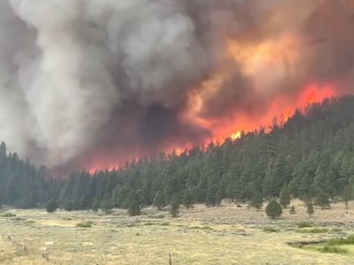 Area of Willamette forest closes for season due to Pyramid Fire west of Sweet Home