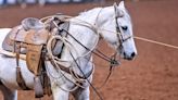 Royal Crown Canada Sees Fierce Competition in Breakaway and Calf Roping