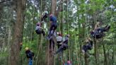 國家森林志工攀樹訓練 從不同視野認識樹木