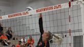 Meadowbrook volleyball impressive with opening night sweep over rival Tri-Valley