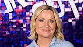 Amy Poehler Recounts Pilot's Announcement That ‘Chilled Everyone to the Bone’ Aboard Recent Flight