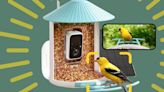 That Entertaining Bird Feeder Camera From TikTok Is Up To 29% Off Right Now