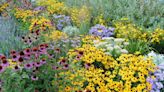 Tired of Replanting Every Year? You Need These Perennials