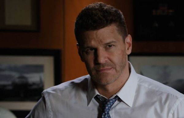 The Story Behind How Bones Actually Changed Its Original Title After David Boreanaz Came On Board