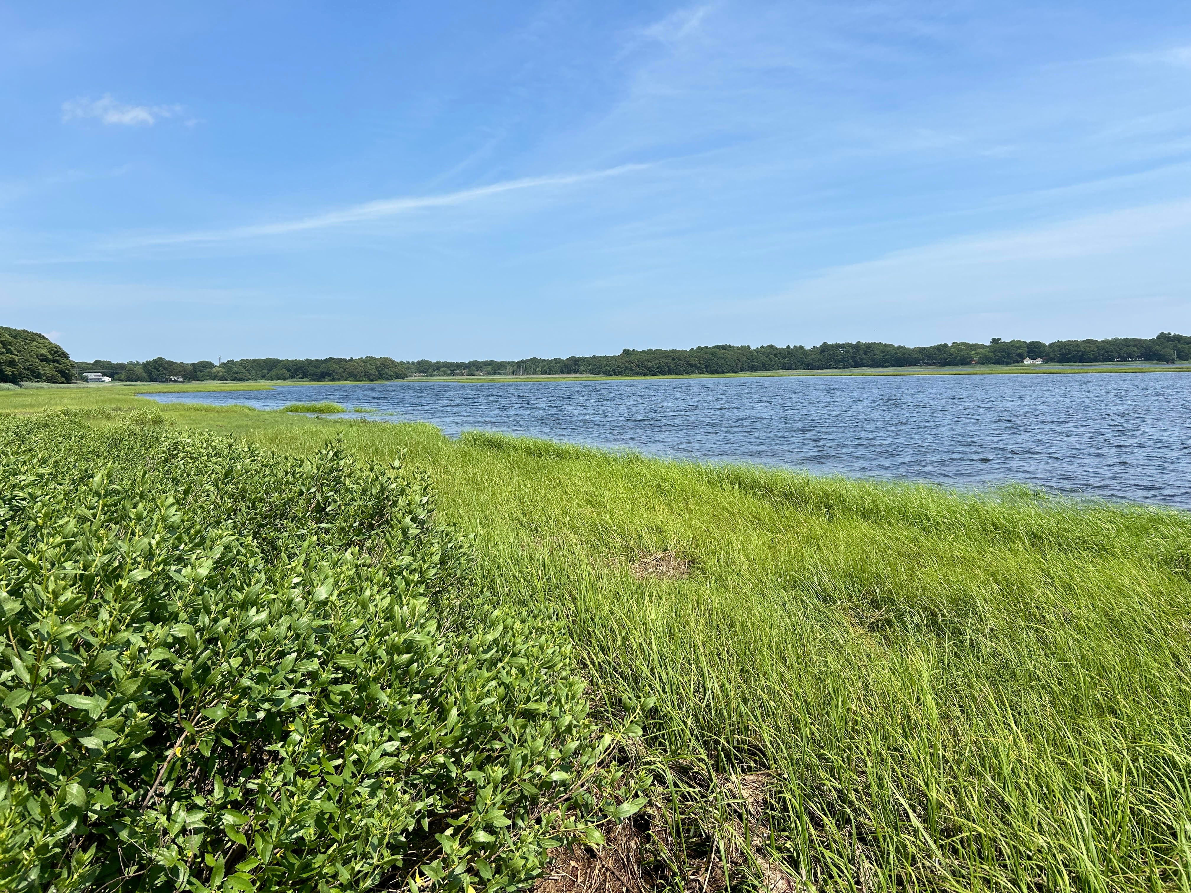 Hike at a coastal sanctuary in Barrington with deep roots in Native and Colonial history