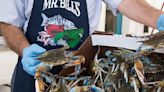Chesapeake crab numbers decline. What will that mean for your summer crab feast?