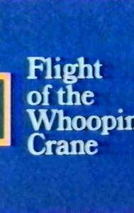 Flight of the Whooping Crane