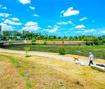 品味客最愛！高機能、低密度清新舒壓宅「遠雄東御苑」營造放鬆生活感