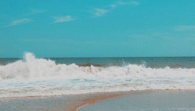 50-foot sea creature washes up on Delaware shore. But rescue proves too ‘treacherous’