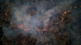 Unas 50.000 hectáreas arrasadas: desesperado combate de incendios en la selva salteña