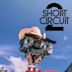 Short Circuit 2