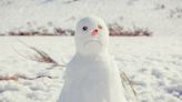 New York school district faces backlash for racist snowman social media post