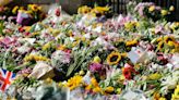 Queen tribute flowers will be turned into compost for royal gardens