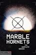 Marble Hornets