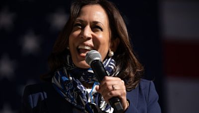 VP Kamala Harris' Financial Disclosure Reveals 'Boring' Investment Choices — Here's What The Leading Democratic Candidate Holds