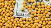 Paraguay: precio internacional de la soja afectó el ingreso de divisas