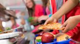 People horrified over 'pathetic' school dinner that looks like it's 'fed to prisoners'