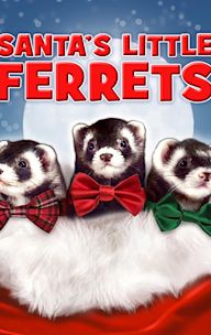 Santa's Little Ferrets