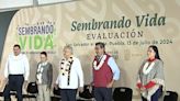 AMLO y Sheinbaum evalúan el programa Sembrando Vida en Puebla • Once Noticias