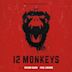 12 Monkeys