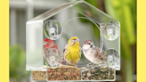 Don't wing it: This top-rated window bird feeder is down to $25 and makes a thoughtful Mother's Day gift