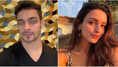 Animal’s Bhabi 2 Triptii Dimri's sunkissed vacation PIC with rumored beau Sam Merchant and friends is just LIT