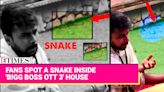 'Bigg Boss OTT 3' Fans Spot Snake Inside The House | Here's The Truth About Viral Clip | Etimes - Times of India Videos