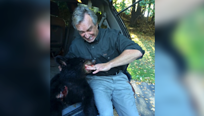 RFK Jr wildly confesses to dumping dead bear cub in Central Park a decade ago