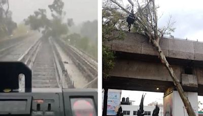 Cae árbol en vías de Línea 4 del Metro; se interrumpe servicio