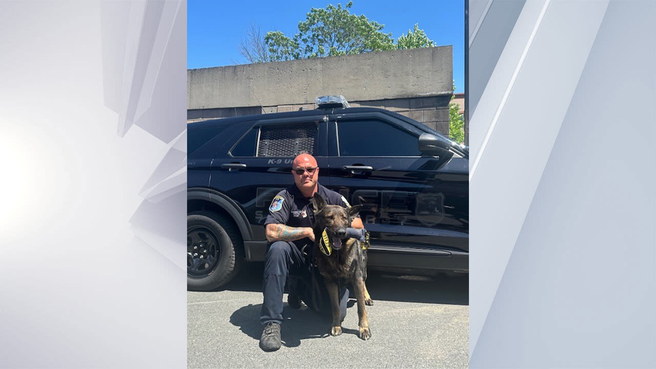 Schenectady police K9 Derse retires