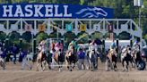 Haskell Stakes 2024 Odds And Betting Guide For $1 Million Race At Monmouth Park