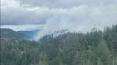 Smokejumpers deployed to eastern flank of 230-hectare wildfire near Sooke