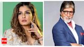 'To manage confrontational scenes with him, you need a lot of courage' -- Raveena Tandon on working with Amitabh Bachchan in Aks | Hindi Movie News - Times of India