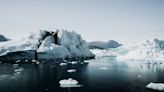 Können Riesenviren die Eisschmelze in der Arktis verlangsamen?