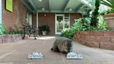 Local weather forecasting groundhog, Queen Charlotte, dies