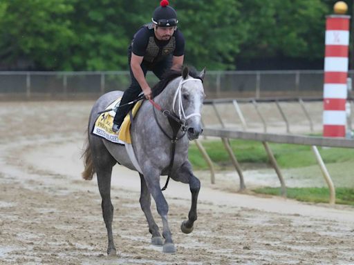 Preakness Stakes 2024: Seize The Grey wins in Baltimore, ending Mystik Dan's Triple Crown hopes