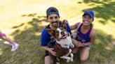 Oregon Humane Society celebrates 37th annual Doggie Dash in Portland