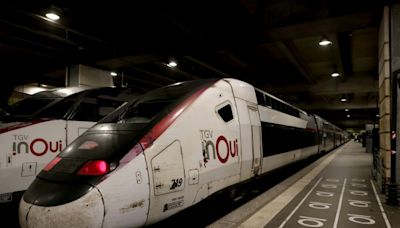 Todos los trenes de alta velocidad circulan con normalidad en Francia, anuncia el ministro