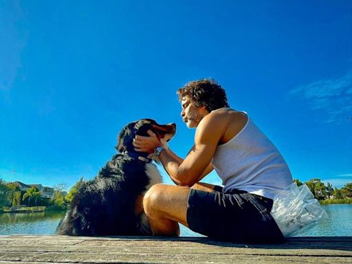 Como Thor, el perro de Casa Rosada: famosos que eligieron a un boyero de Berna para su familia