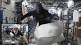 Fact Check: A NASA Astronaut Supposedly Once Wore a Gorilla Suit Aboard ISS. Here's the Hairy Truth.