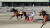 Sunny Sicily takes feature; Bailey earns slam at Vernon Downs