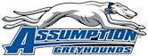 Assumption Greyhounds