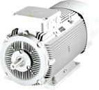 Electric motor