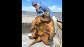 200-pound creature was fisherman’s ‘consolation prize.’ Then he set a world record