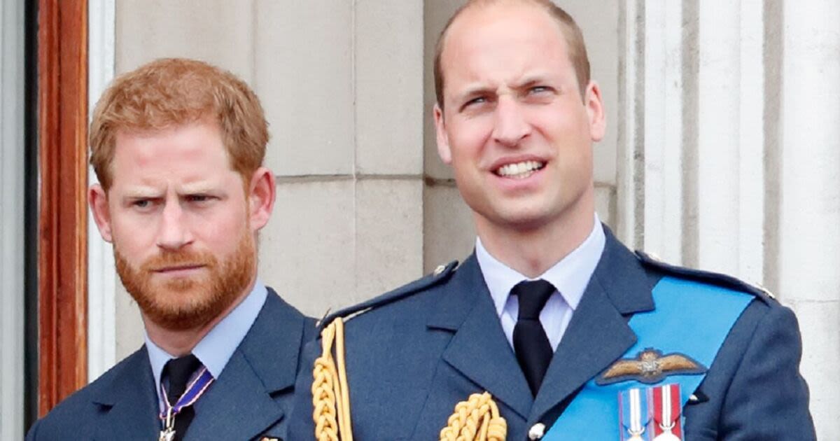 William and Harry's former employee details mishaps behind the scenes