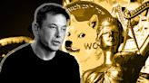 Musk denies reports claiming he has been counseling Trump on crypto